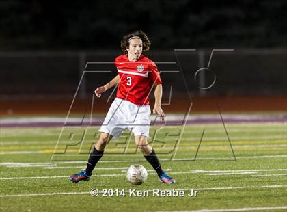 Thumbnail 1 in Lower Dauphin vs Peters Township (PIAA Class AAA Semifinal) photogallery.