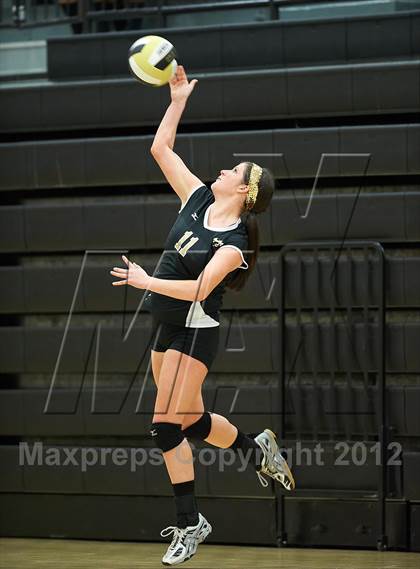 Thumbnail 1 in Pope @ Sprayberry photogallery.