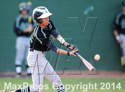 Thumbnail 1 in Palo Verde vs Amphitheater (Panther Invitational) photogallery.