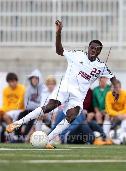 Thumbnail 1 in Denver South @ Ponderosa (CHSAA 4A Playoffs) photogallery.