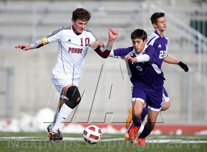 Thumbnail 3 in Denver South @ Ponderosa (CHSAA 4A Playoffs) photogallery.
