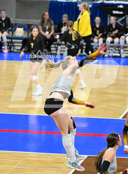 Thumbnail 3 in Thompson Valley vs. Windsor (CHSAA 4A 2nd Round) photogallery.