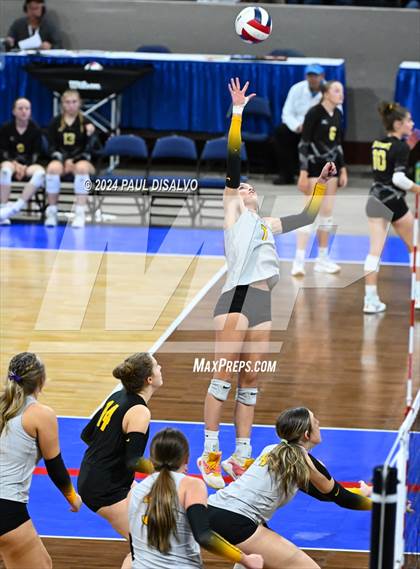 Thumbnail 1 in Thompson Valley vs. Windsor (CHSAA 4A 2nd Round) photogallery.