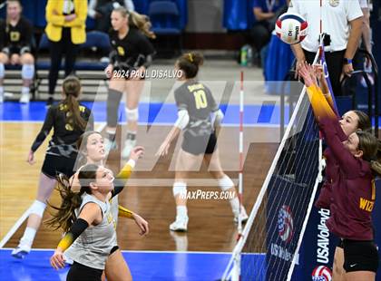 Thumbnail 1 in Thompson Valley vs. Windsor (CHSAA 4A 2nd Round) photogallery.