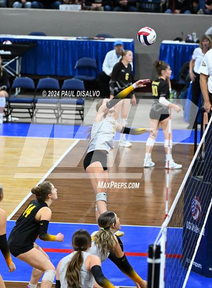 Thumbnail 2 in Thompson Valley vs. Windsor (CHSAA 4A 2nd Round) photogallery.