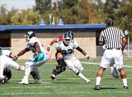 Thumbnail 3 in Sheldon vs. Laguna Creek photogallery.