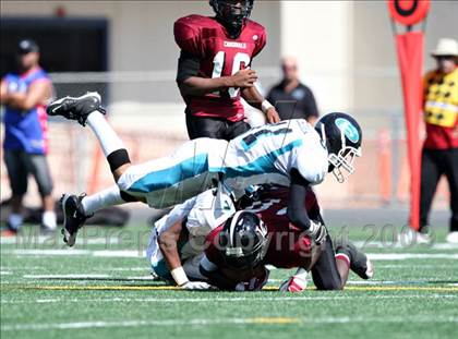 Thumbnail 3 in Sheldon vs. Laguna Creek photogallery.