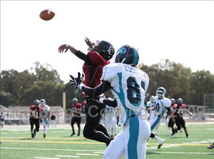 Thumbnail 3 in Sheldon vs. Laguna Creek photogallery.