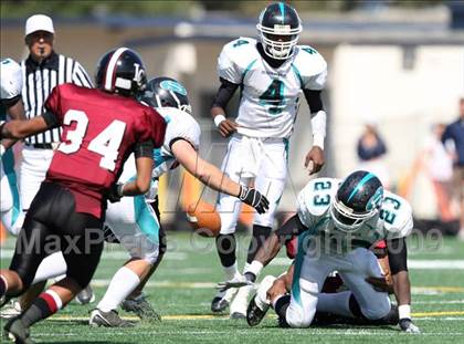 Thumbnail 1 in Sheldon vs. Laguna Creek photogallery.