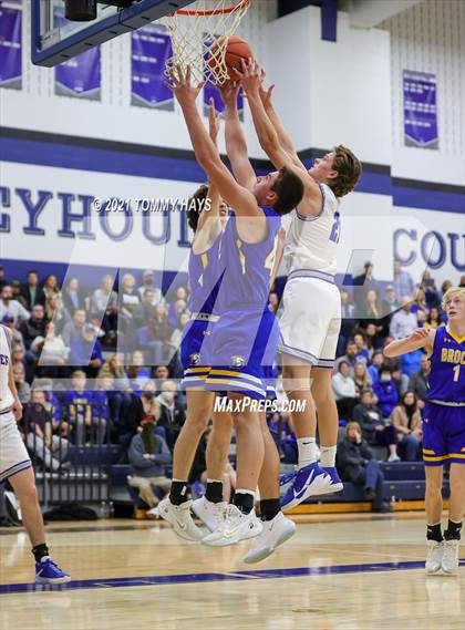 Thumbnail 2 in Brock @ Peaster photogallery.