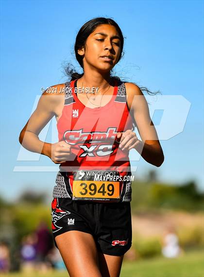 Thumbnail 1 in AIA South East Sectional Tournament (Girls) photogallery.