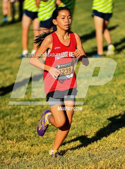 Thumbnail 3 in AIA South East Sectional Tournament (Girls) photogallery.