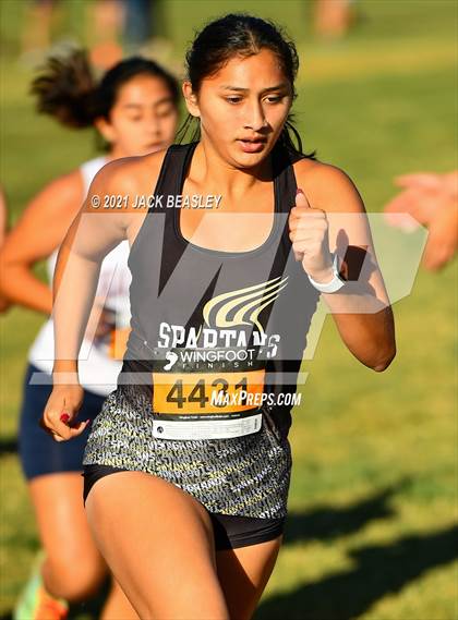 Thumbnail 2 in AIA South East Sectional Tournament (Girls) photogallery.