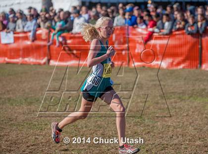 Thumbnail 1 in CIF State Cross Country Championships (D3 Girls Race) photogallery.