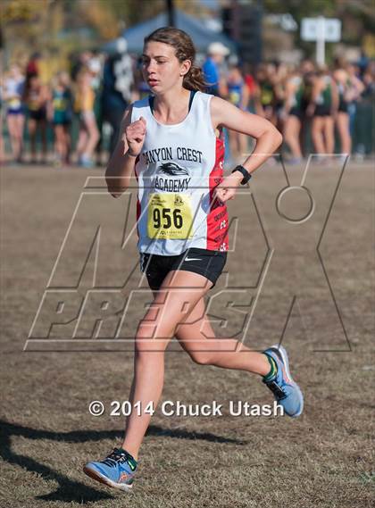 Thumbnail 2 in CIF State Cross Country Championships (D3 Girls Race) photogallery.