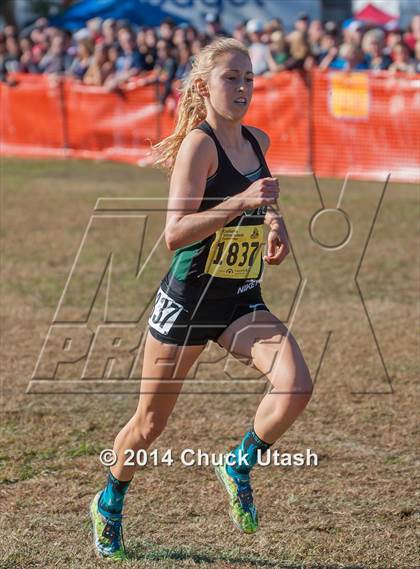 Thumbnail 1 in CIF State Cross Country Championships (D3 Girls Race) photogallery.