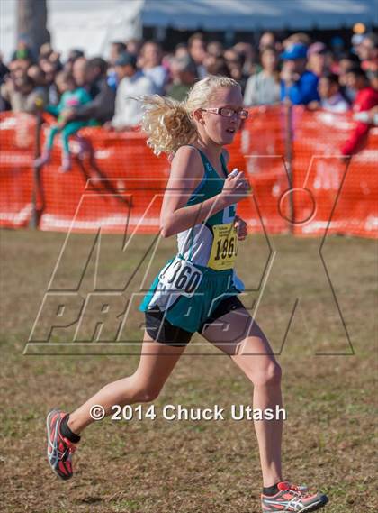 Thumbnail 2 in CIF State Cross Country Championships (D3 Girls Race) photogallery.
