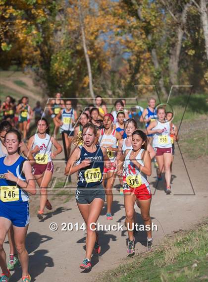 Thumbnail 1 in CIF State Cross Country Championships (D3 Girls Race) photogallery.