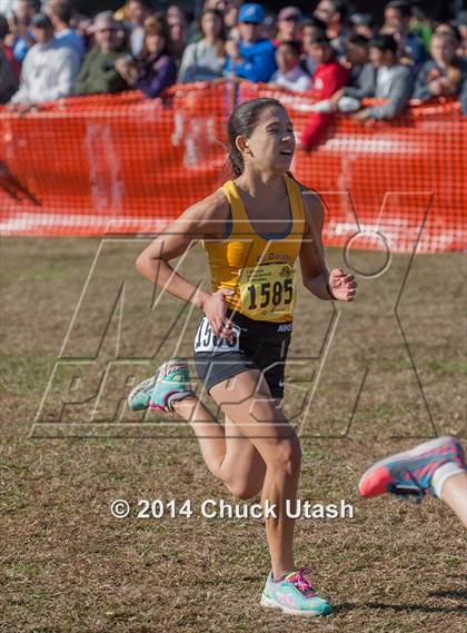 Thumbnail 1 in CIF State Cross Country Championships (D3 Girls Race) photogallery.