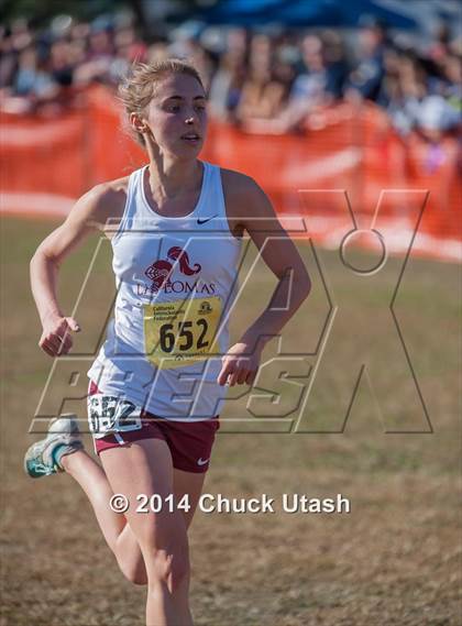 Thumbnail 2 in CIF State Cross Country Championships (D3 Girls Race) photogallery.