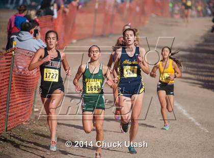 Thumbnail 3 in CIF State Cross Country Championships (D3 Girls Race) photogallery.
