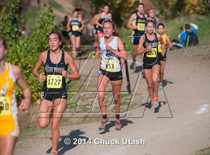 Thumbnail 1 in CIF State Cross Country Championships (D3 Girls Race) photogallery.