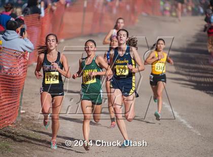 Thumbnail 2 in CIF State Cross Country Championships (D3 Girls Race) photogallery.