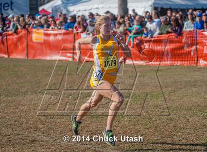 Thumbnail 2 in CIF State Cross Country Championships (D3 Girls Race) photogallery.
