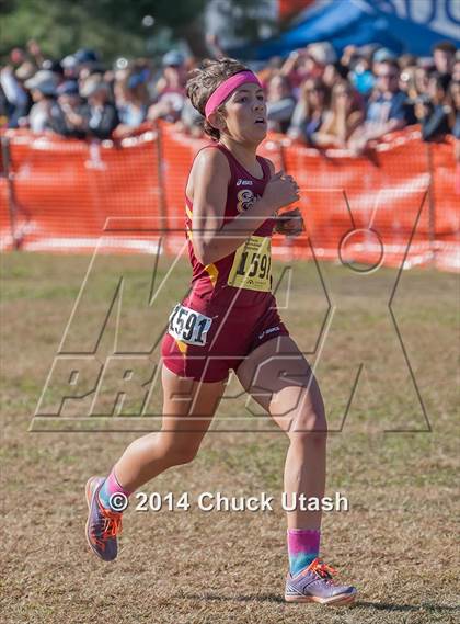 Thumbnail 1 in CIF State Cross Country Championships (D3 Girls Race) photogallery.