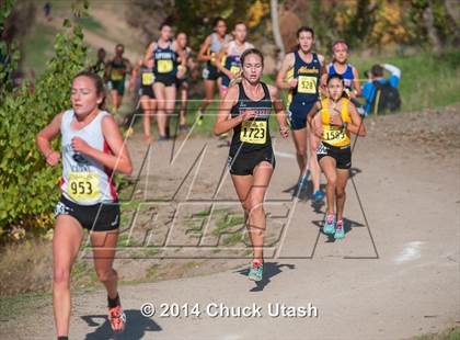 Thumbnail 2 in CIF State Cross Country Championships (D3 Girls Race) photogallery.