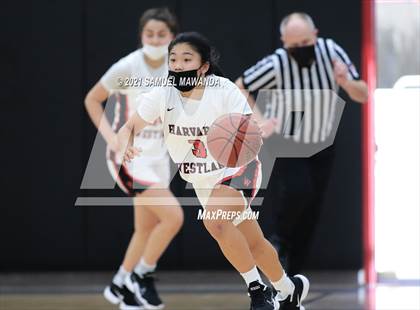 Thumbnail 1 in  Ventura @ Harvard-Westlake photogallery.
