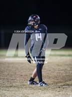 Photo from the gallery "Rincon/University @ Empire"