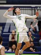 Photo from the gallery "Logan @ Ridgeline"