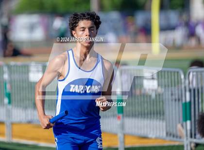 Thumbnail 1 in Thibodaux(Tiger Relays) photogallery.