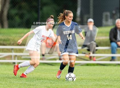 Thumbnail 2 in Milton @ Needham photogallery.