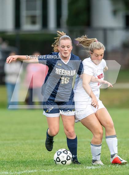 Thumbnail 2 in Milton @ Needham photogallery.