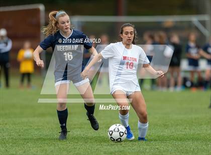 Thumbnail 3 in Milton @ Needham photogallery.