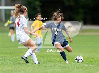 Thumbnail 1 in Milton @ Needham photogallery.