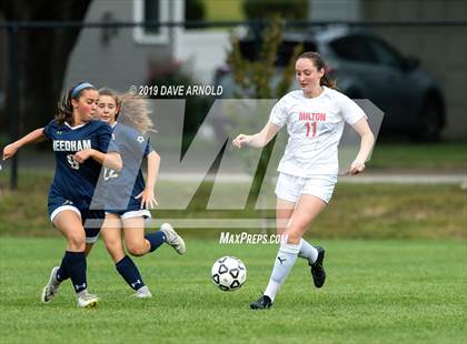 Thumbnail 1 in Milton @ Needham photogallery.
