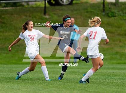 Thumbnail 1 in Milton @ Needham photogallery.