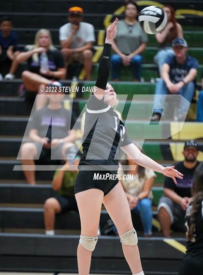 Thumbnail 3 in Queen Creek @ Basha photogallery.