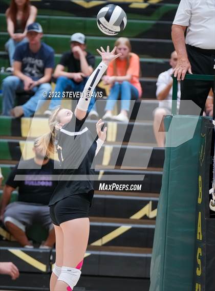 Thumbnail 2 in Queen Creek @ Basha photogallery.