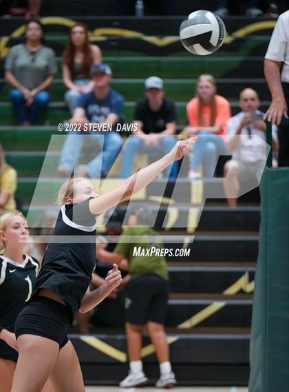 Thumbnail 1 in Queen Creek @ Basha photogallery.