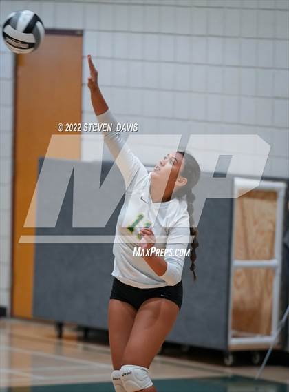 Thumbnail 3 in Queen Creek @ Basha photogallery.