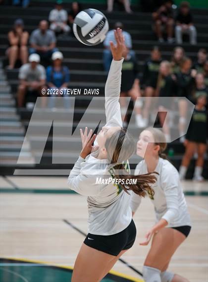 Thumbnail 1 in Queen Creek @ Basha photogallery.