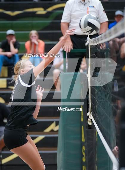 Thumbnail 3 in Queen Creek @ Basha photogallery.