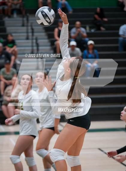 Thumbnail 1 in Queen Creek @ Basha photogallery.