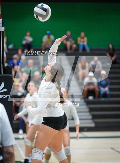 Thumbnail 3 in Queen Creek @ Basha photogallery.