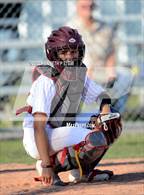 Photo from the gallery "Berwick @ E.D. White"