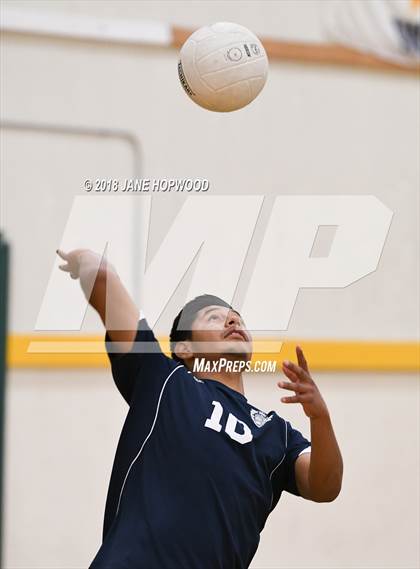 Thumbnail 3 in Overfelt @ Live Oak photogallery.